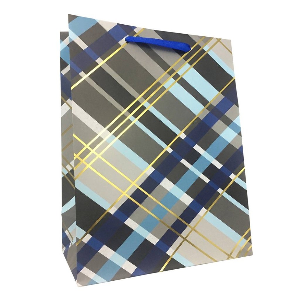 Spritz™ Blue Plaid Medium Gift Bags 8 Pack